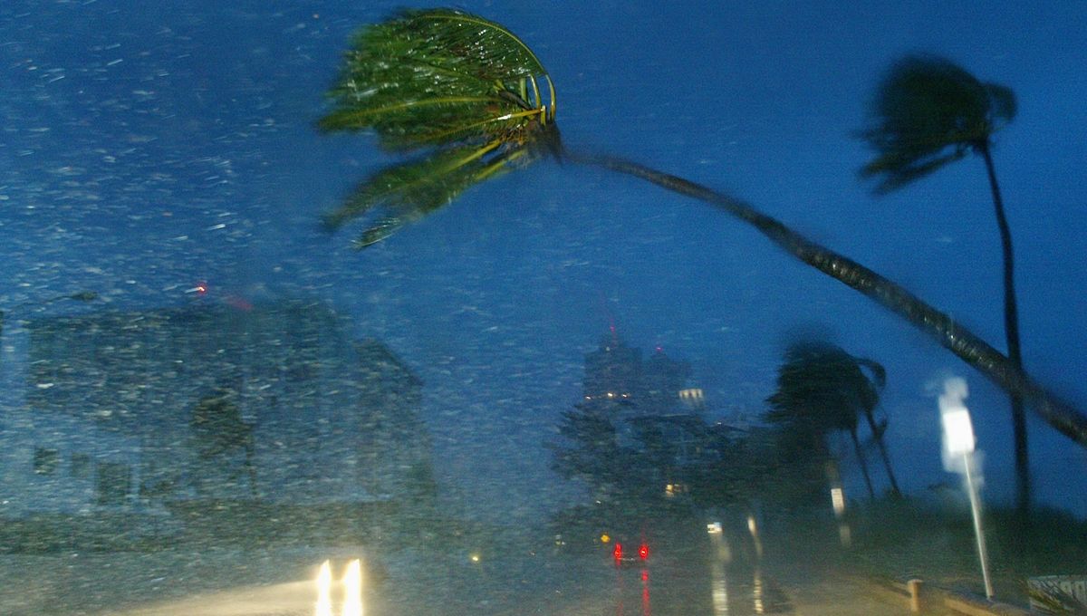 Les secrets des prénoms de tempêtes : Eleanor, Carmen, Martin, Xynthia, Lothar, Klaus
