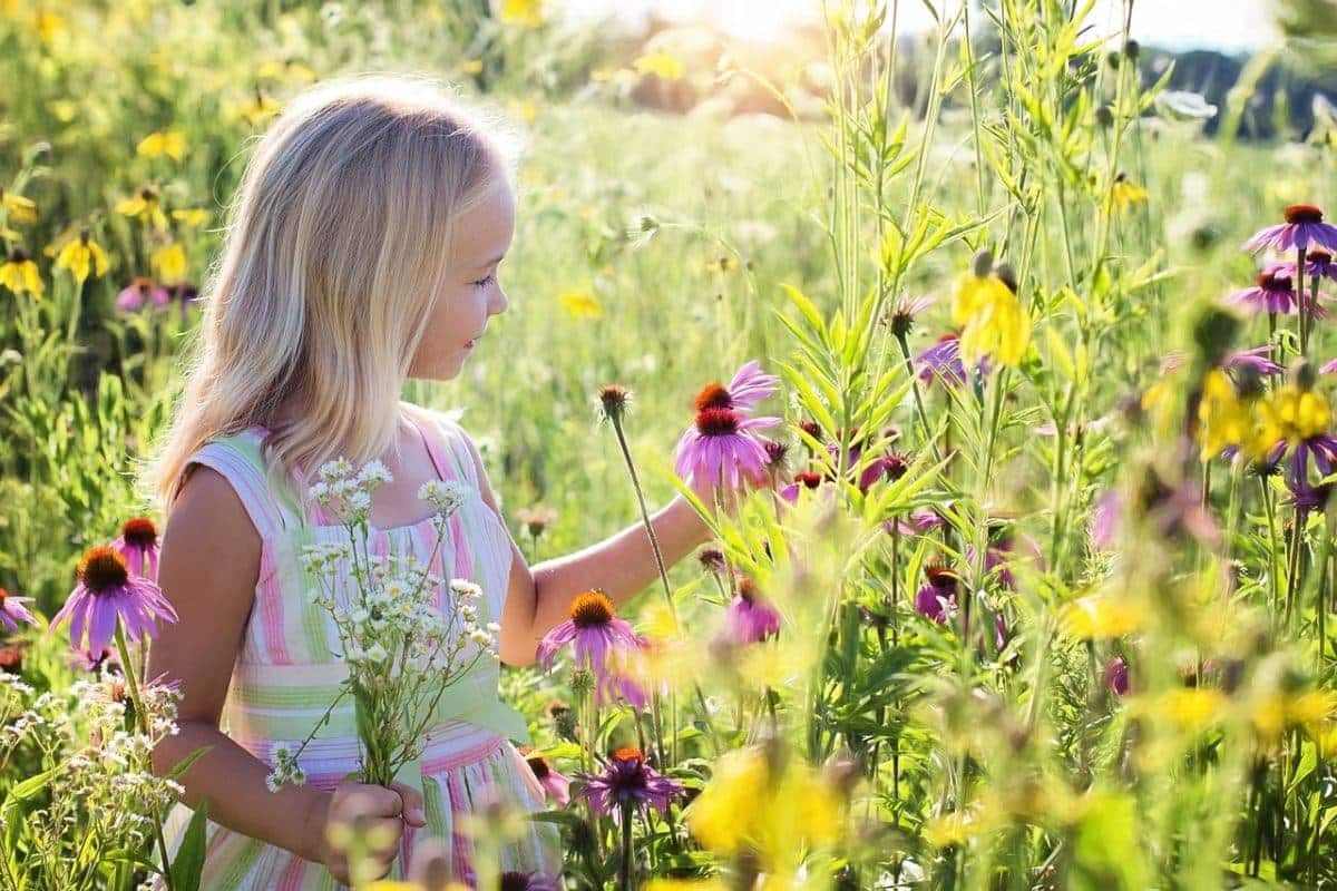 Pourquoi ce nom de fleur tendance est-il si peu utilisé ?